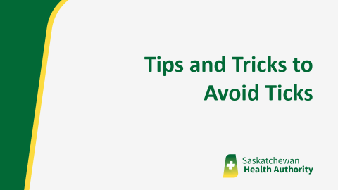 Tips and Tricks to Avoid Ticks