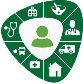 Icon - SHA Guitar pic Seamless Care