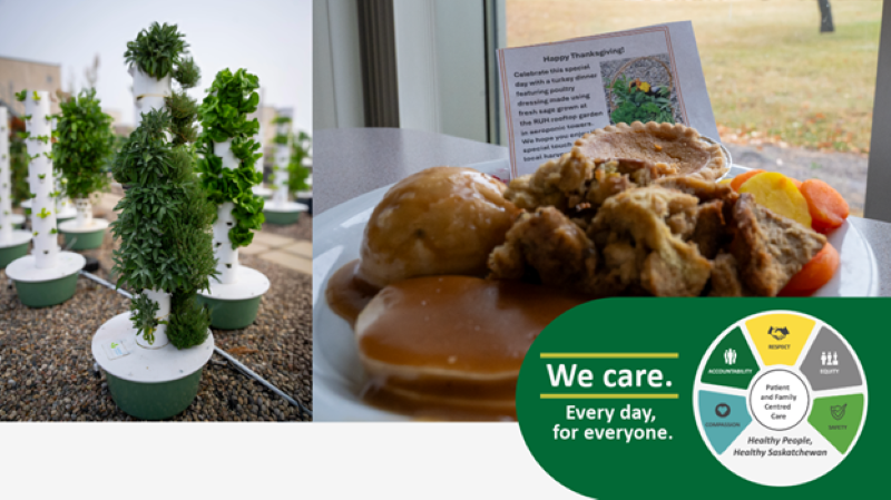 Sage and other herbs growing on the RUH rooftop garden