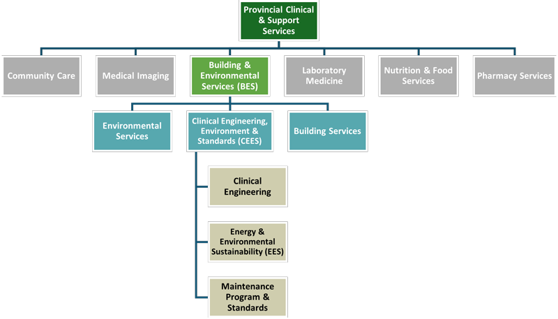 Visual organization chart showing high level of Building & Environmental Services portfolio