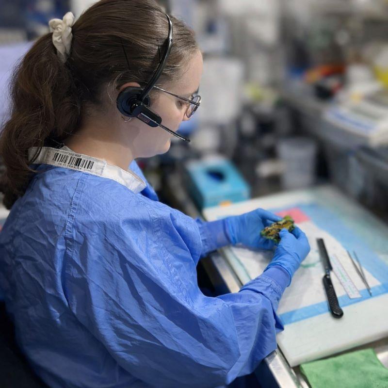 Pathologists’ Assistant